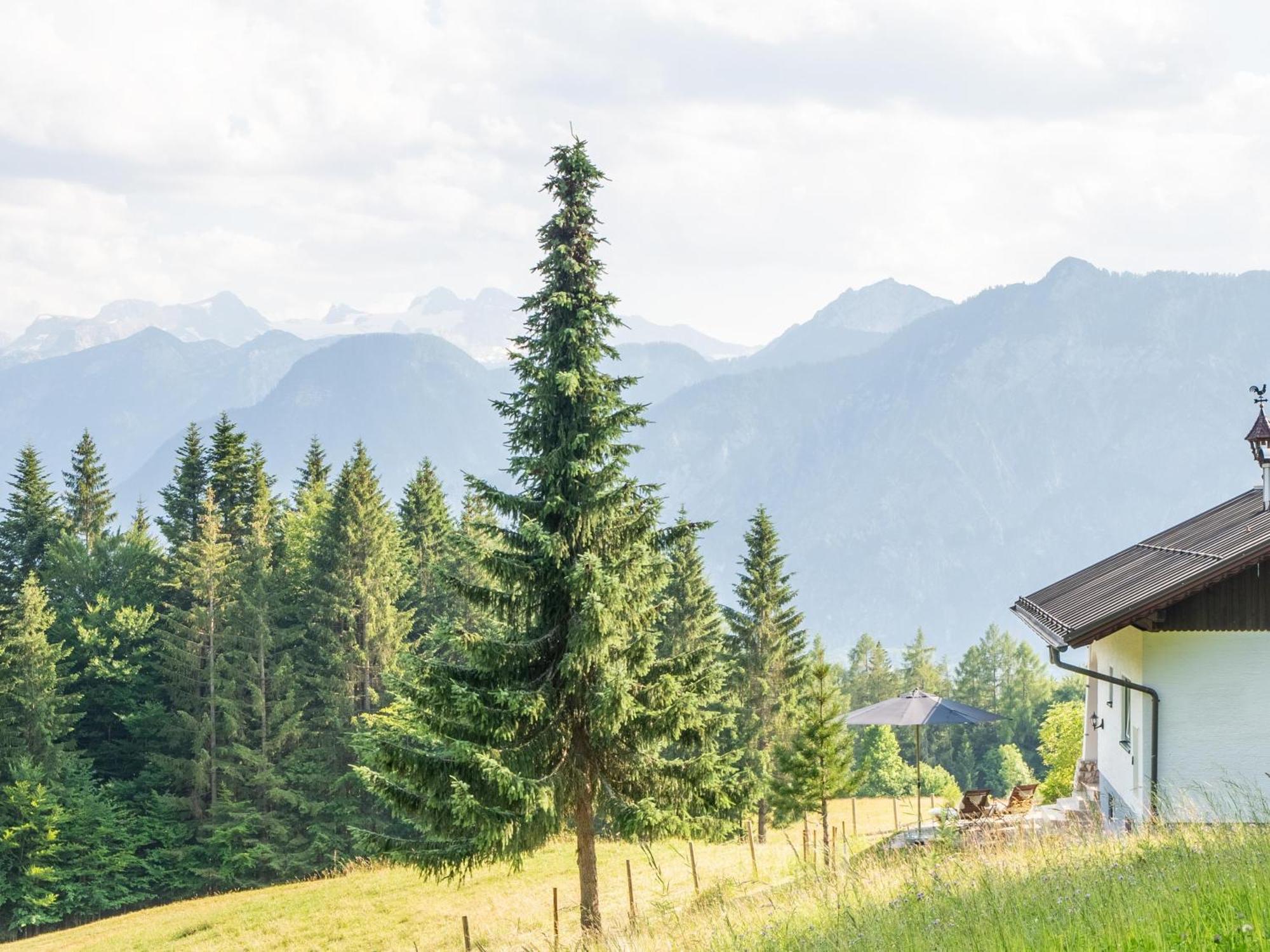 Villa Strickerl Bad Goisern Esterno foto