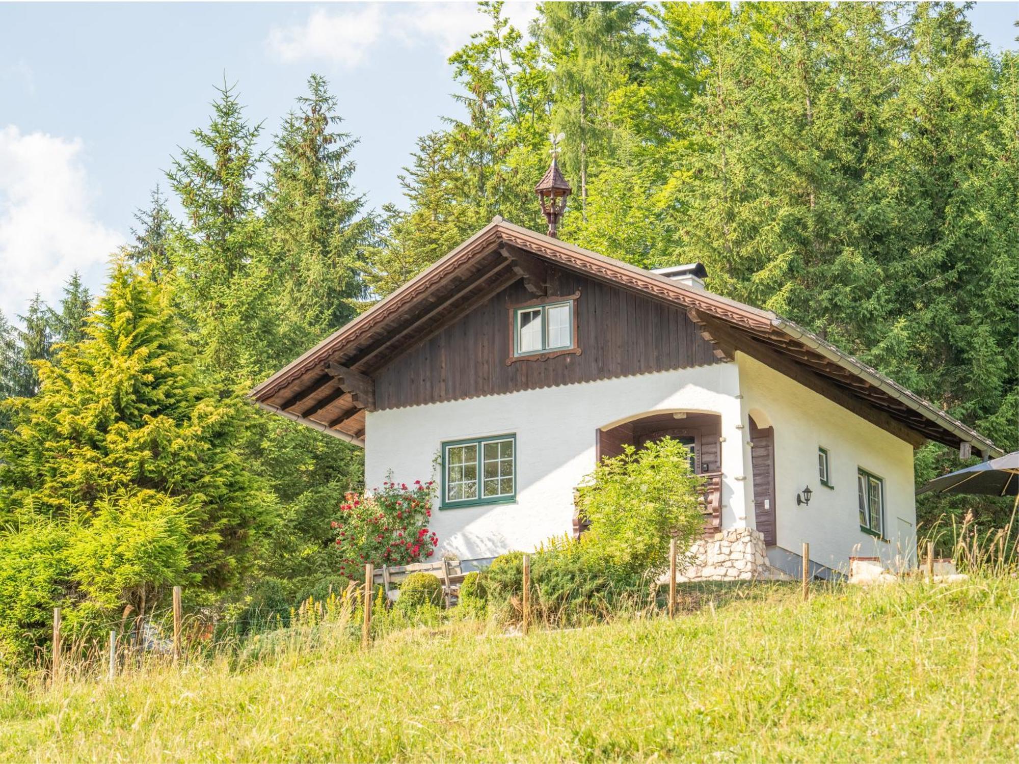 Villa Strickerl Bad Goisern Esterno foto